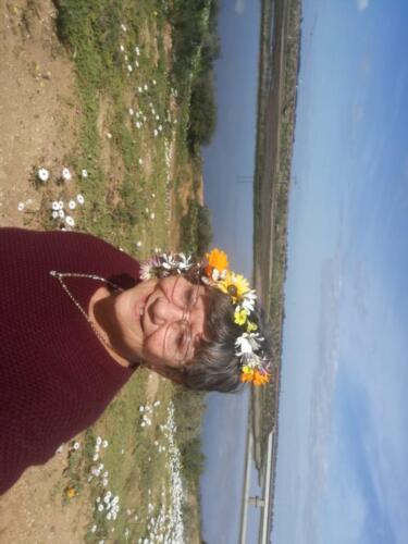 dayvisitorsFlower season